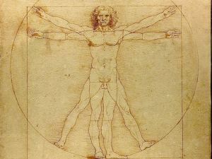 Human body leonardo-da-vinci